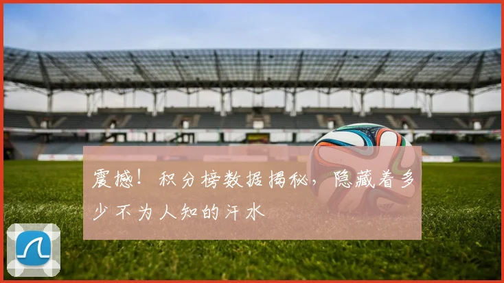 震撼！积分榜数据揭秘，隐藏着多少不为人知的汗水