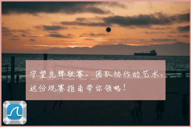 守望先锋联赛，团队协作的艺术，这份观赛指南带你领略！
