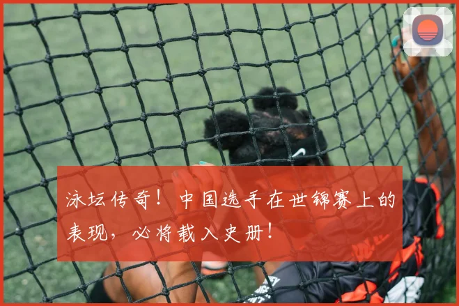 泳坛传奇！中国选手在世锦赛上的表现，必将载入史册！