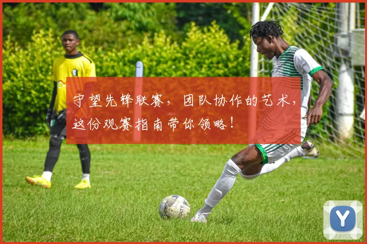守望先锋联赛，团队协作的艺术，这份观赛指南带你领略！